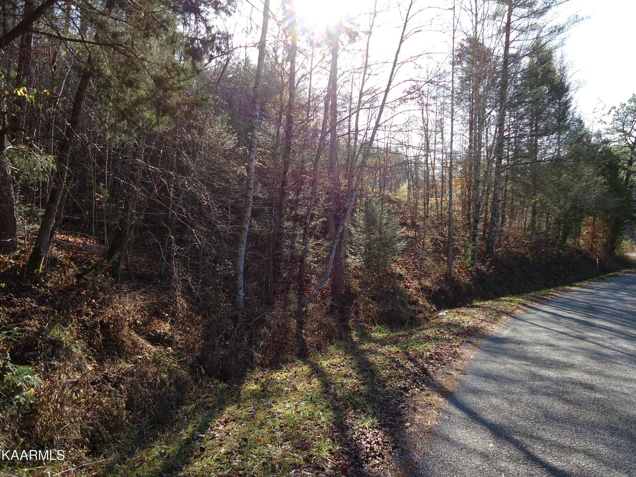 1014 Antioch Church Rd - Photo 1
