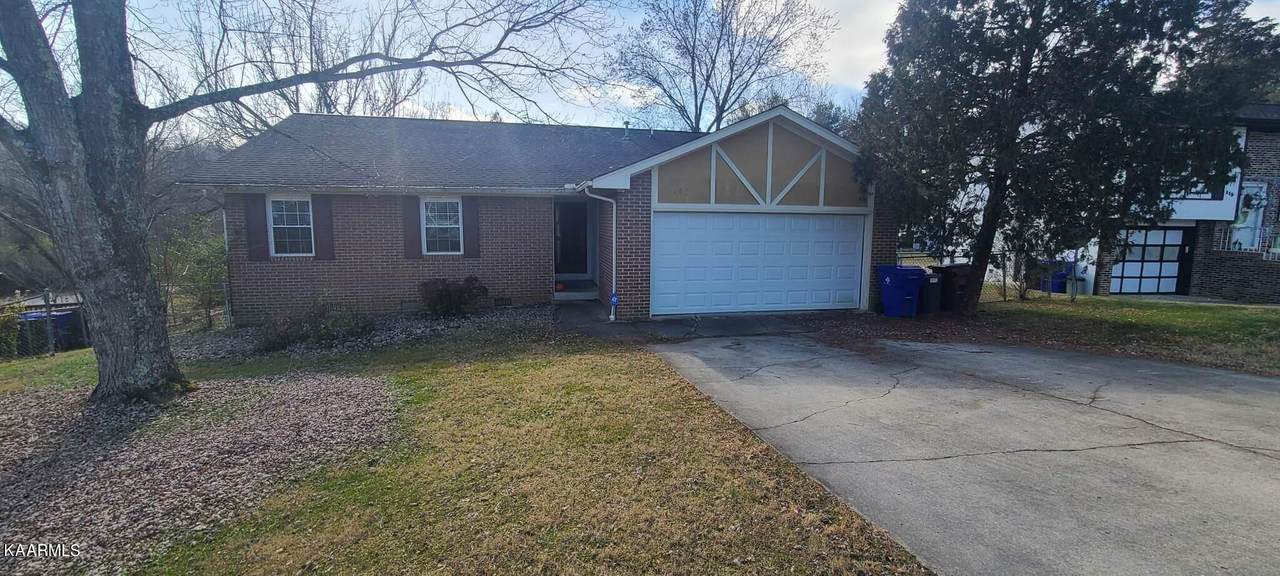 113 Tracy Lane - Photo 1