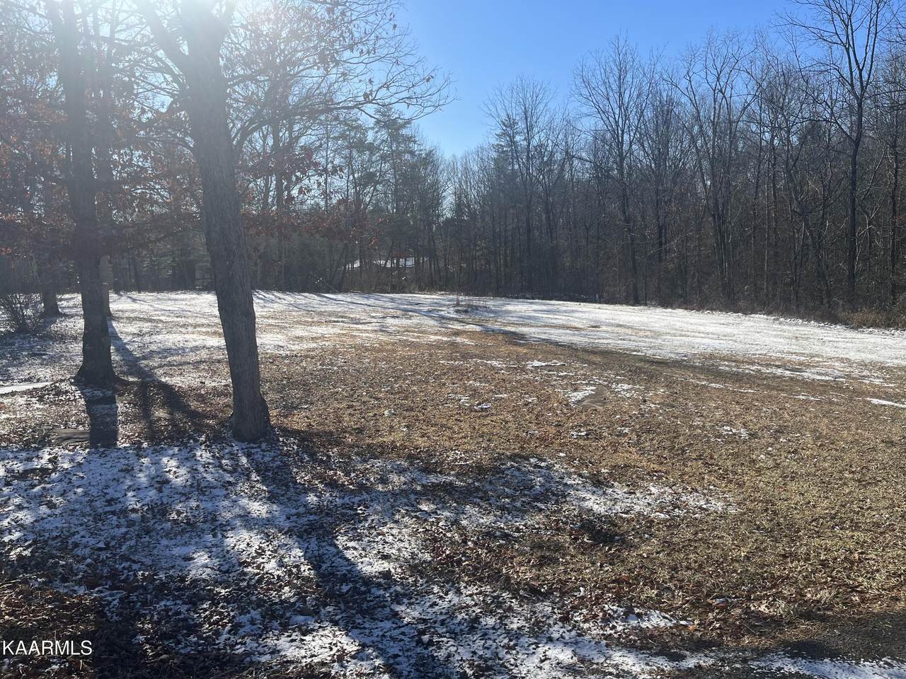 3131 Nashville Hwy - Photo 1