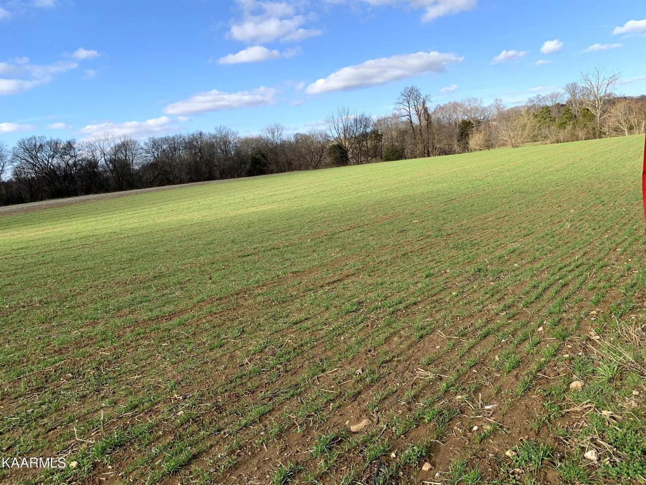 1704 Corby Bridge Rd - Photo 1