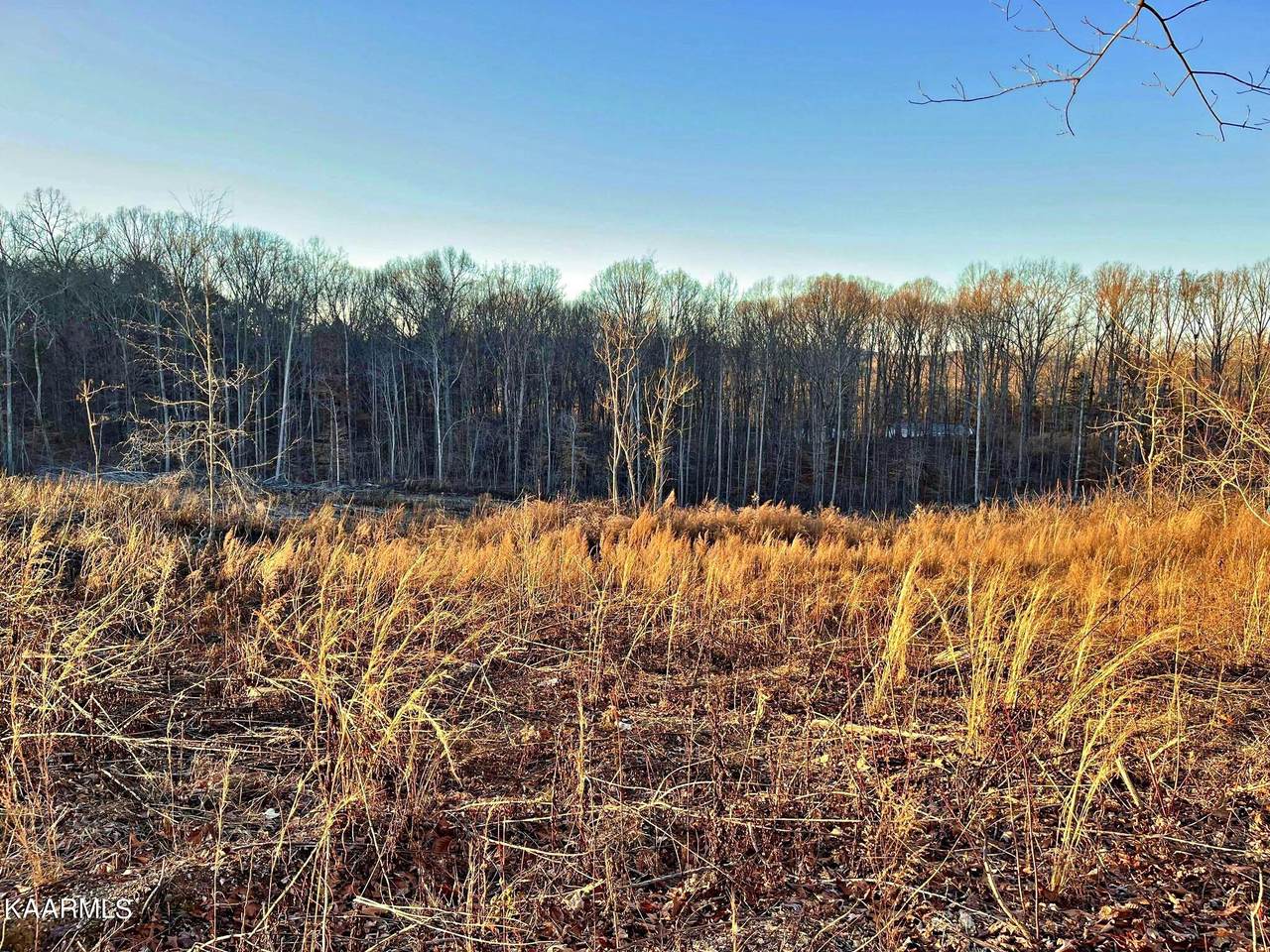 0000 Suddath Road - Photo 1