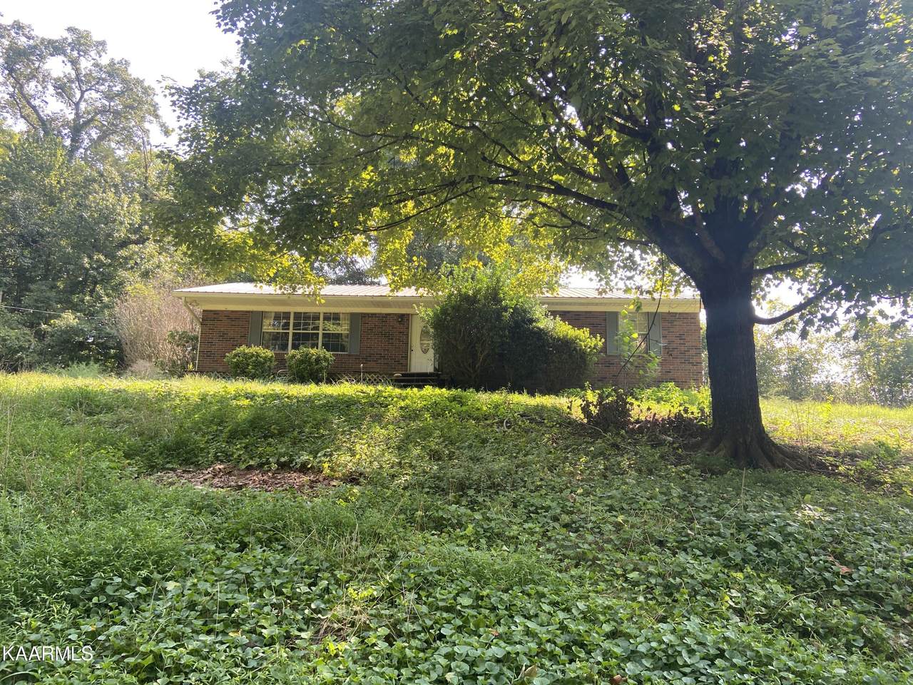 7124 Indian Ridge Rd - Photo 1
