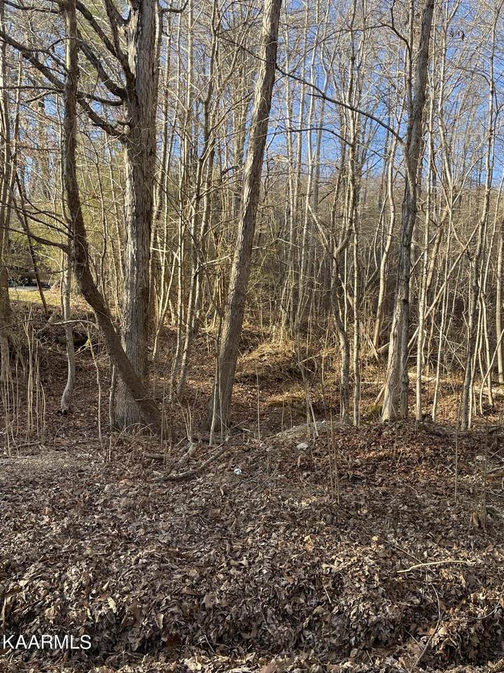 0 Norton Rd - Photo 1