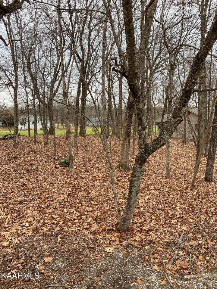 164 Baltusrol Rd - Photo 1