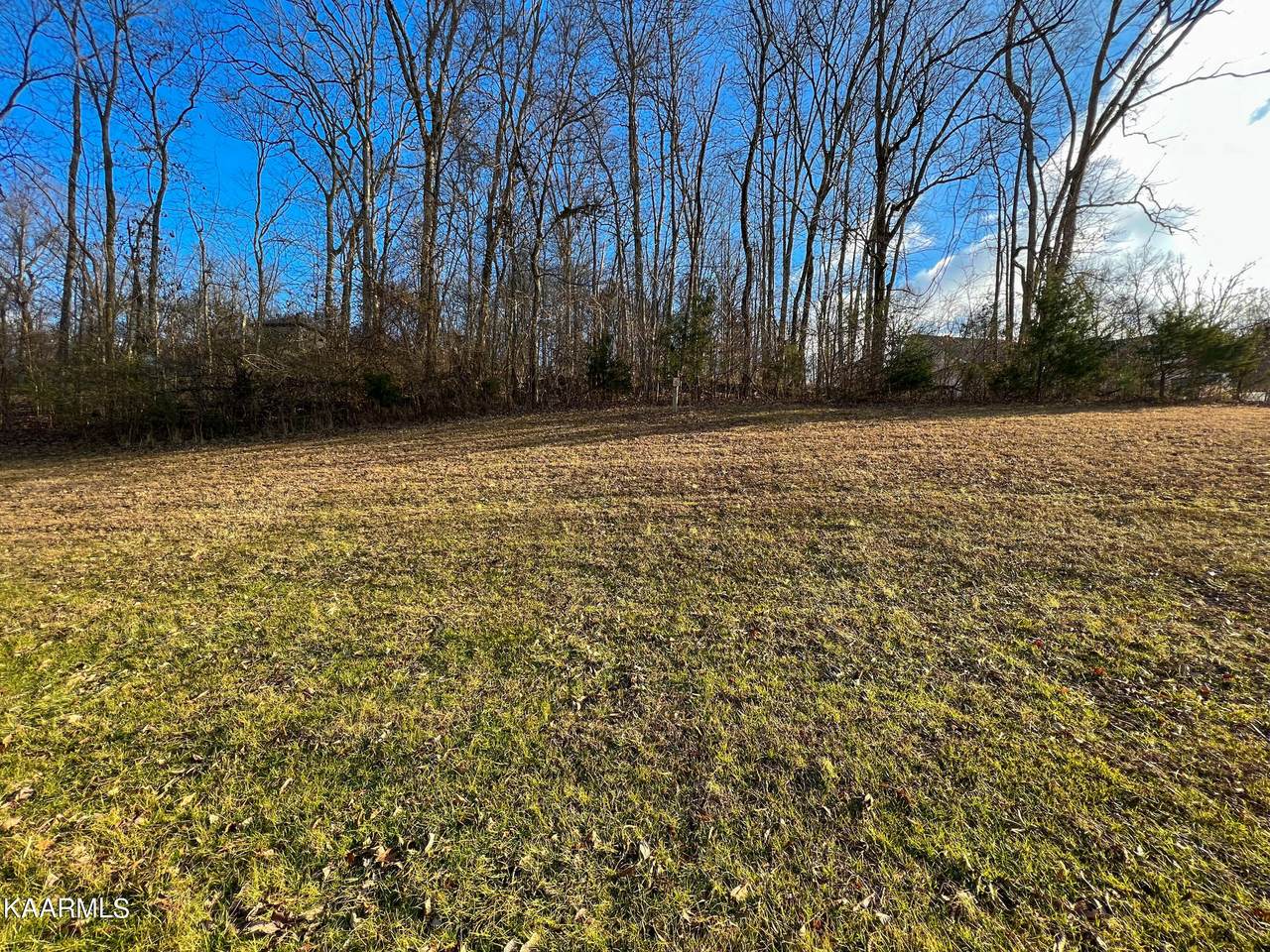 Timberhead Lane - Photo 1