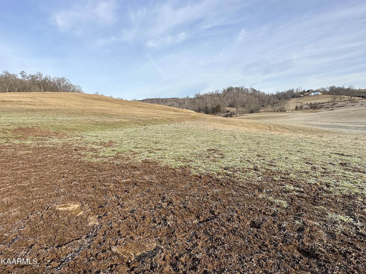 1047 Fourmile Circle - Photo 1