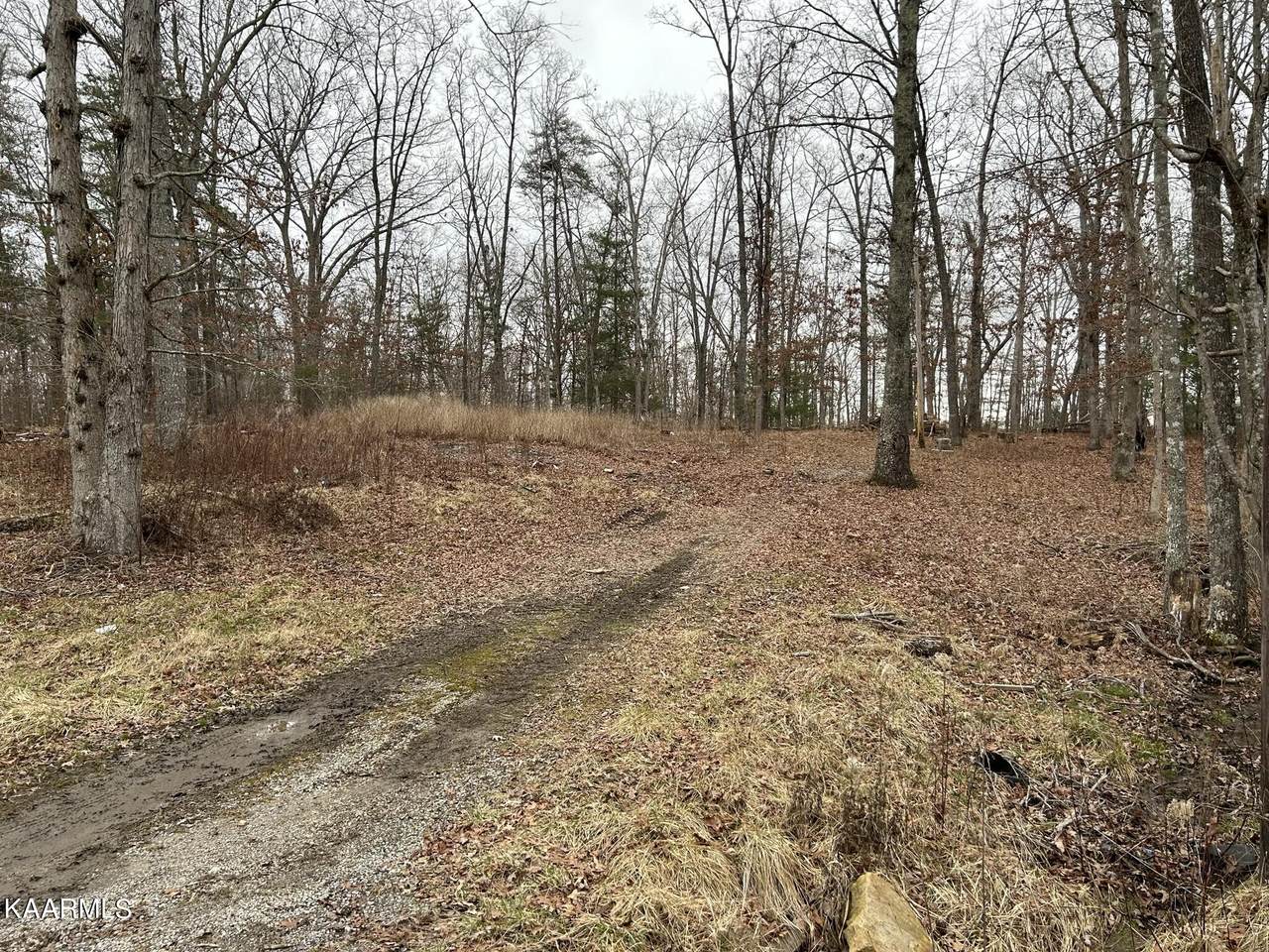3030 Ocalala Tr - Photo 1