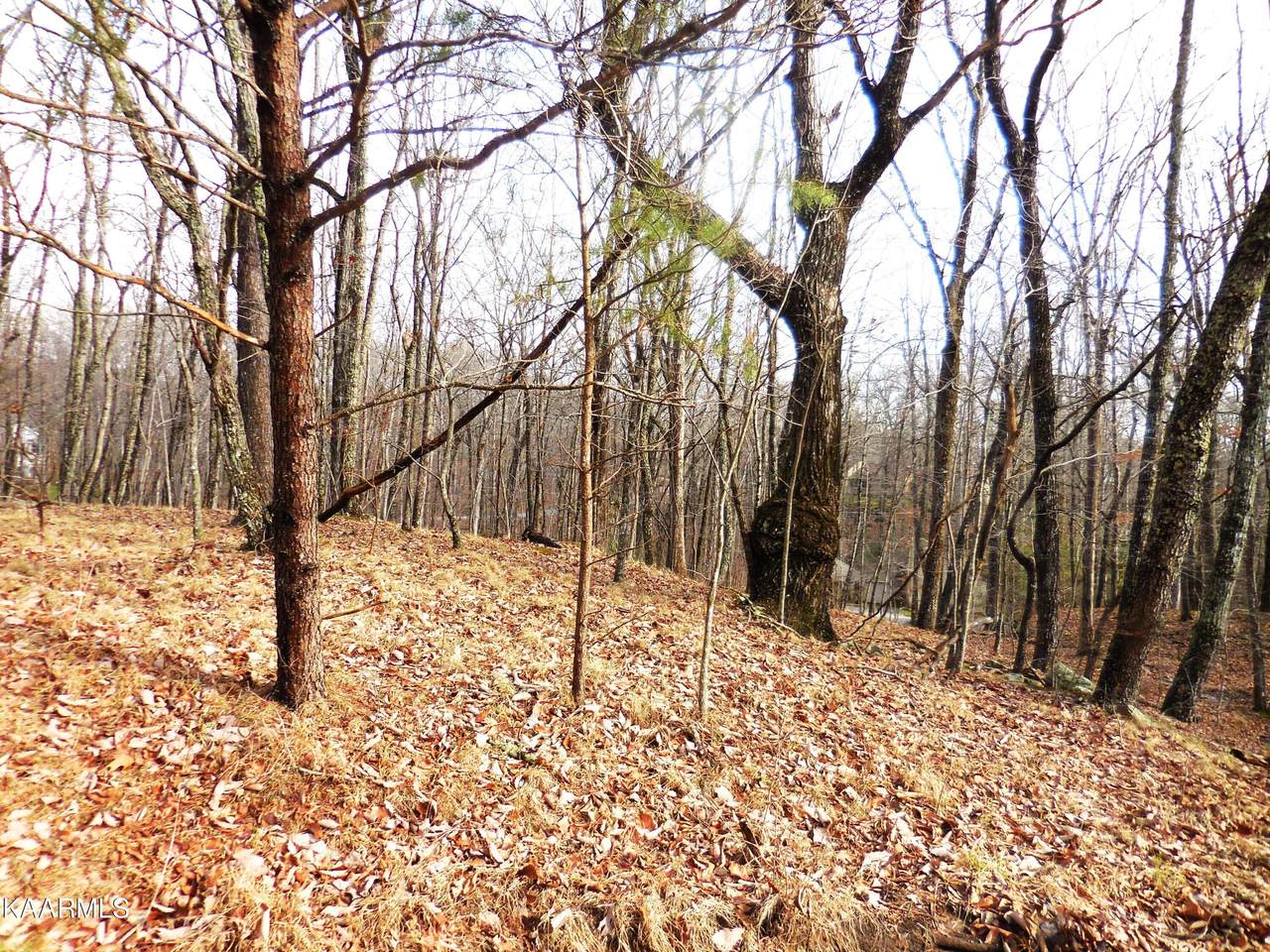 133 Greenbrier Loop - Photo 1