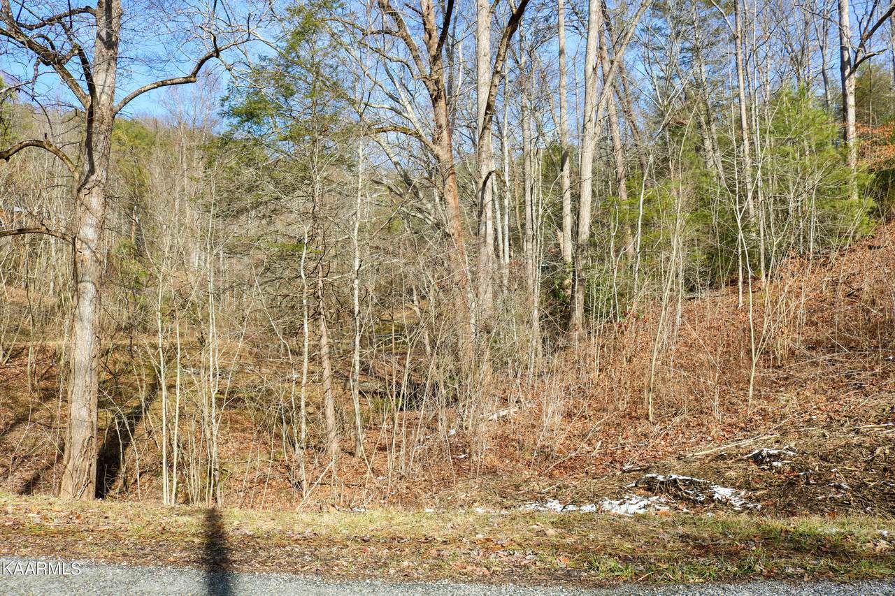 Cove Hollow Rd - Photo 1