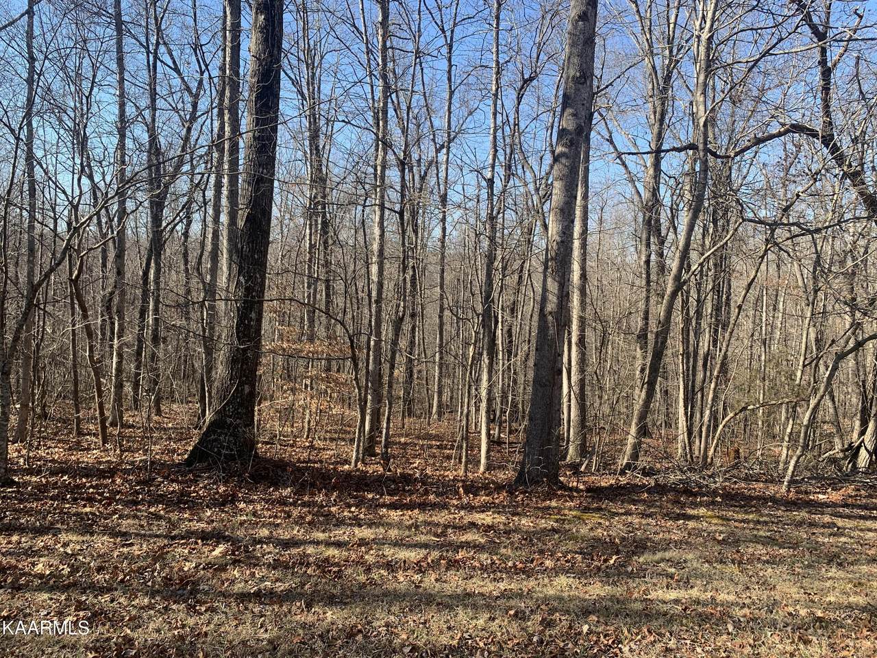 Overlook Rd - Photo 1