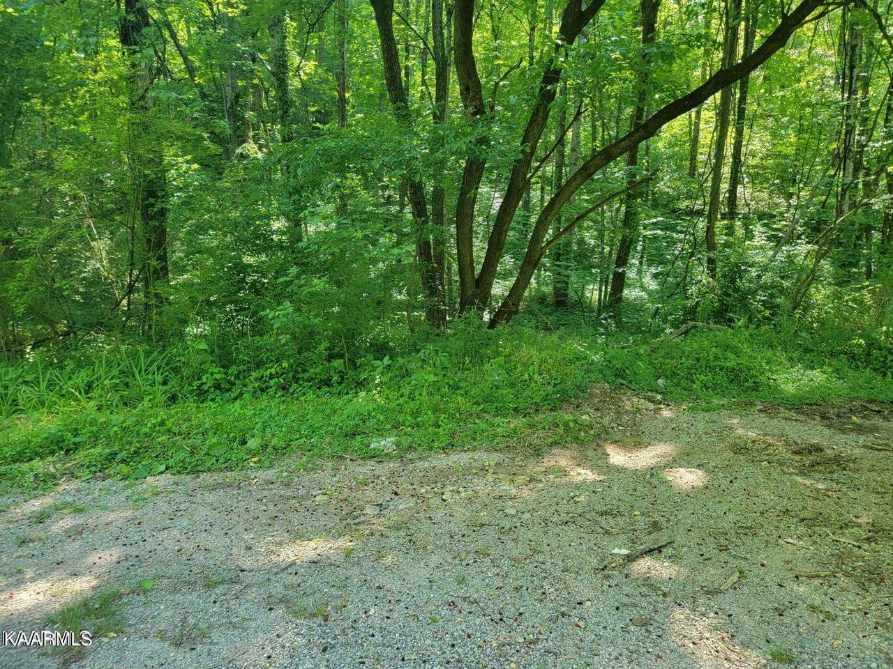 Patty Hill Rd - Photo 1