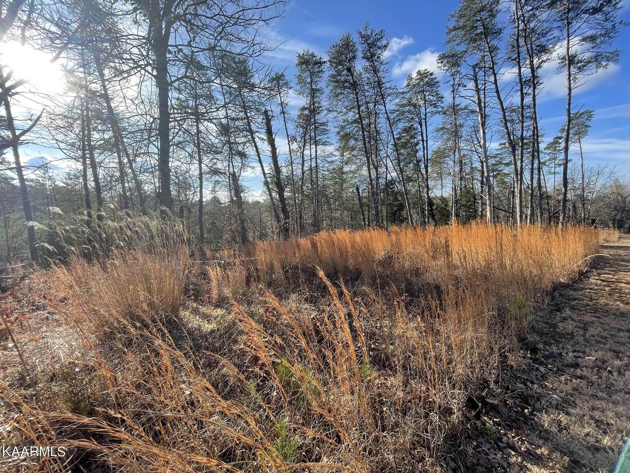 Lot 2 French Broad River Rd - Photo 1