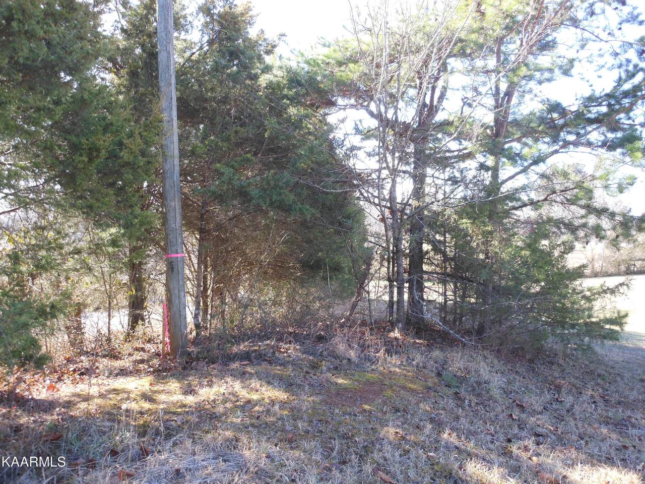 673 Stone Dr - Photo 1