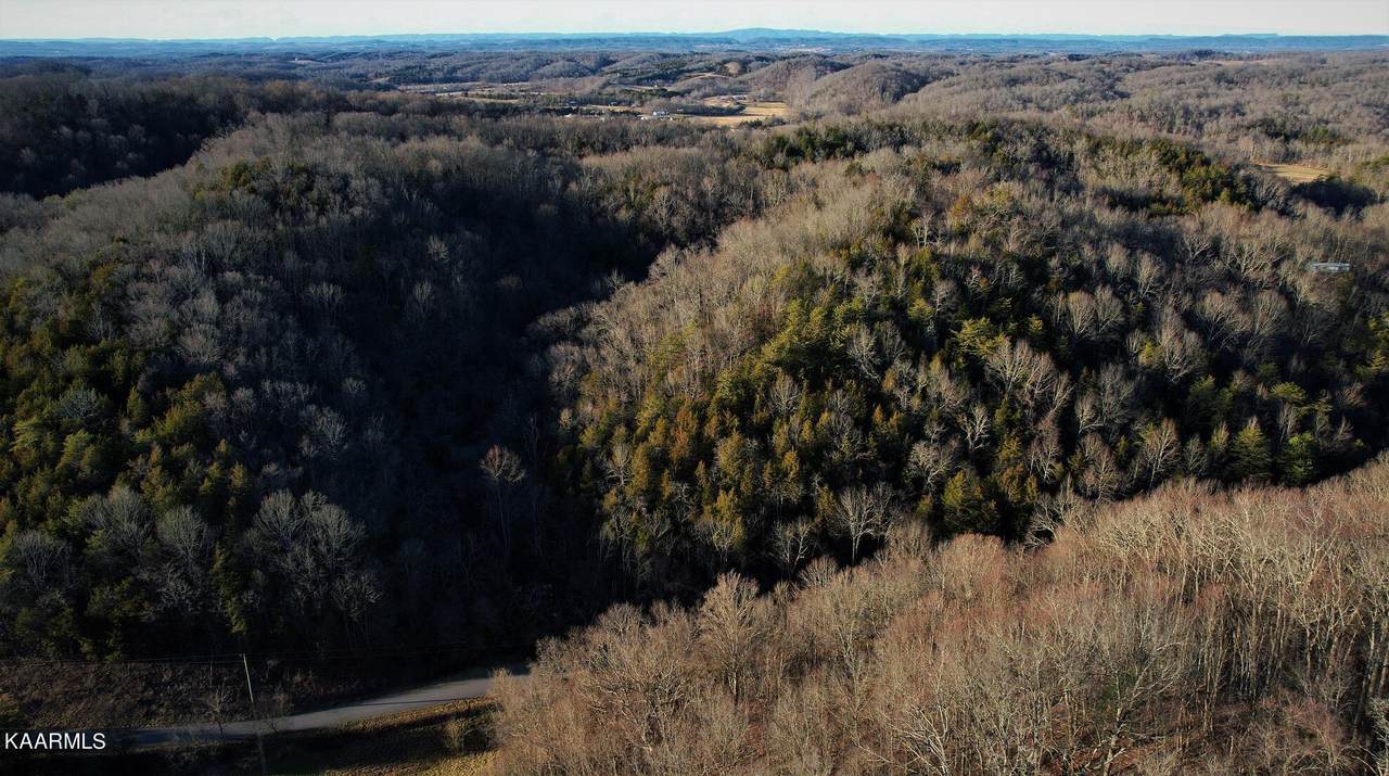 Jackson Hollow Rd - Photo 1