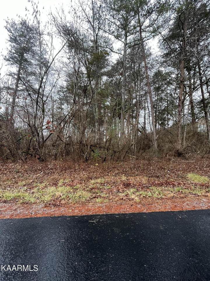 118 Okema Lane - Photo 1