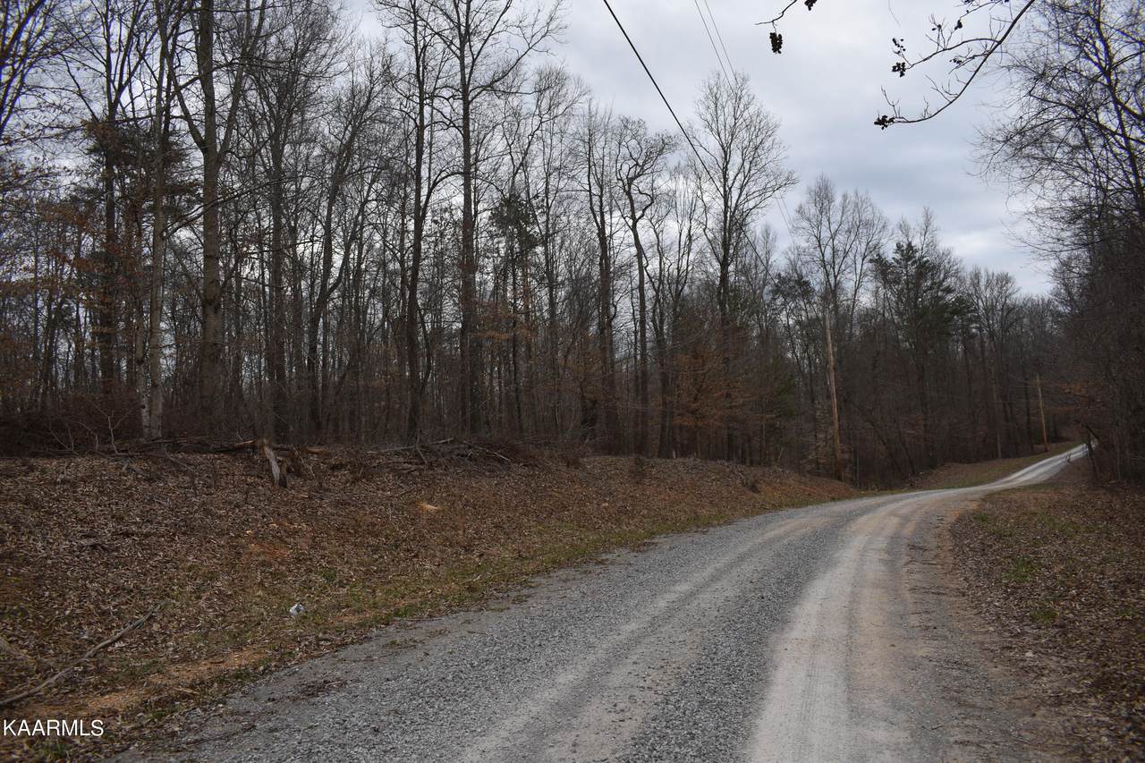 Lot 5 Jones Ridge Rd - Photo 1