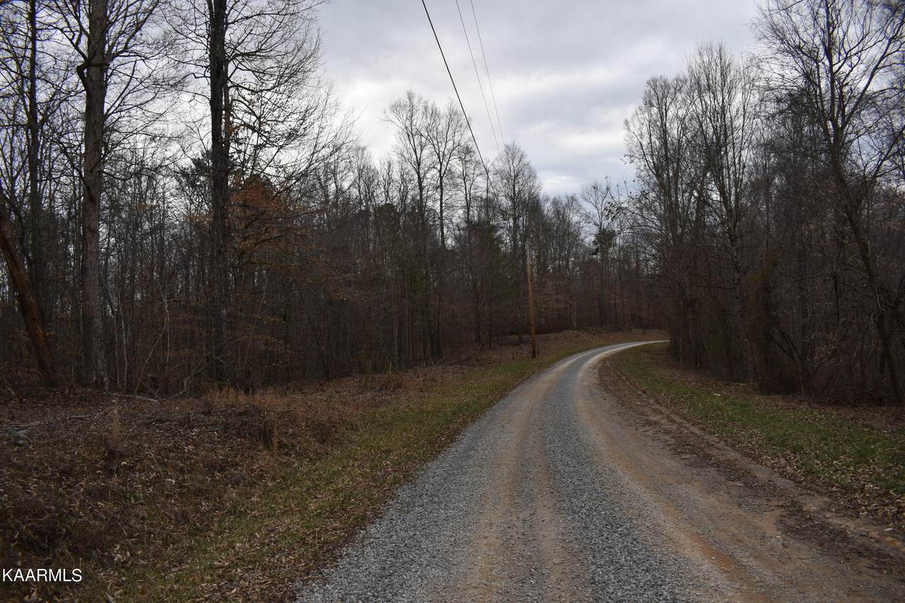 Lot 7 Jones Ridge Rd - Photo 1