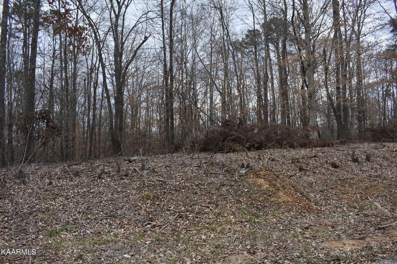Lot 10 Jones Ridge Rd - Photo 1
