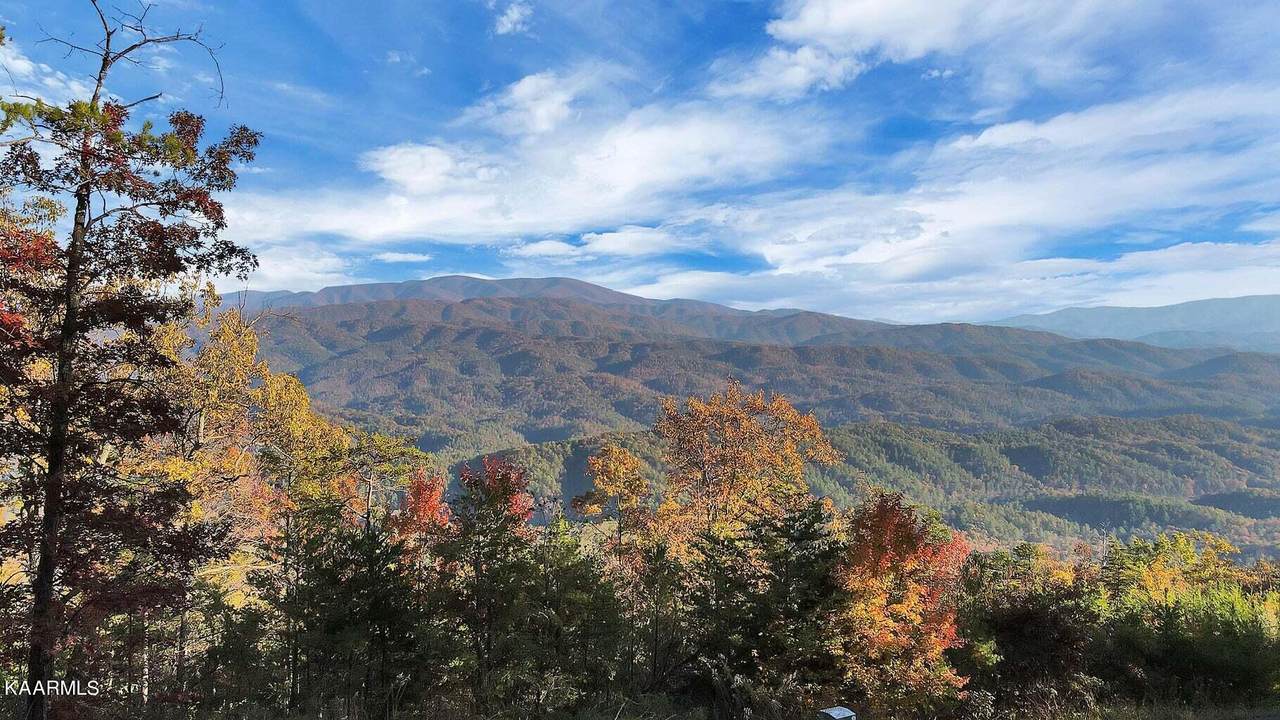 Tract 29R4 Chilhowee Mountain Tr - Photo 1
