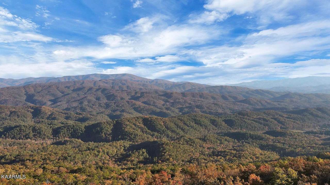Tract 29R5 Chilhowee Mountain Tr - Photo 1