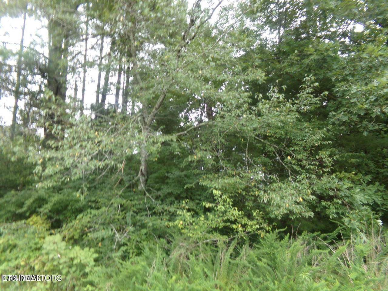 https://bt-photos.global.ssl.fastly.net/kaar/1280_boomver_1_1238355-2.jpg