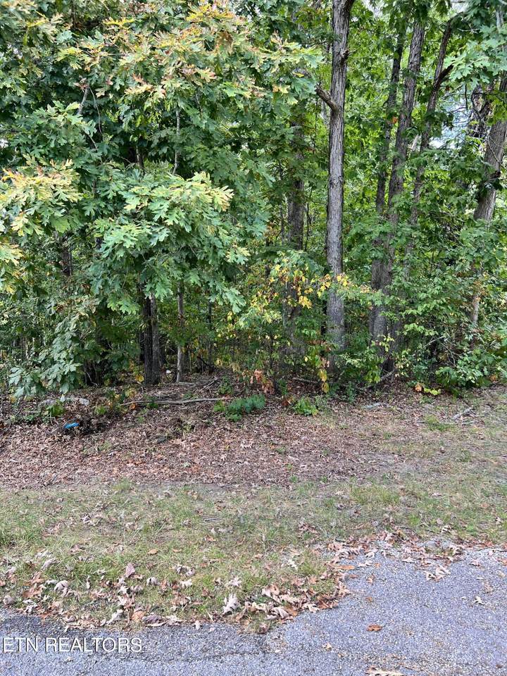 143 Shelley Lane - Photo 1