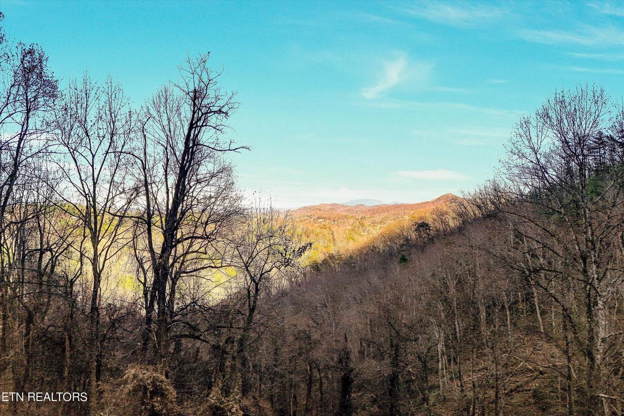 Lots 6,7 Balsam Slopes Rd - Photo 1