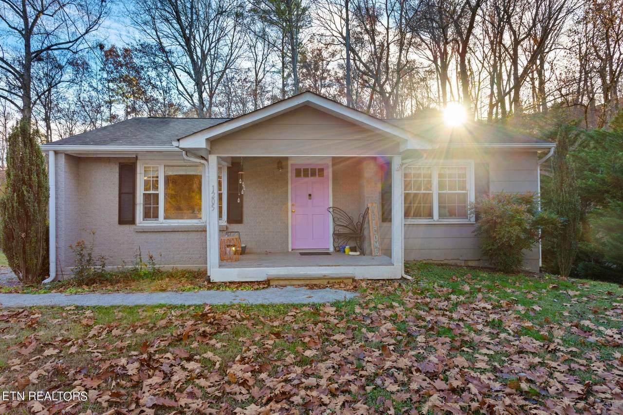 1205 Harrison Pike, Cleveland, TN 37311 (MLS 1248138) Austin