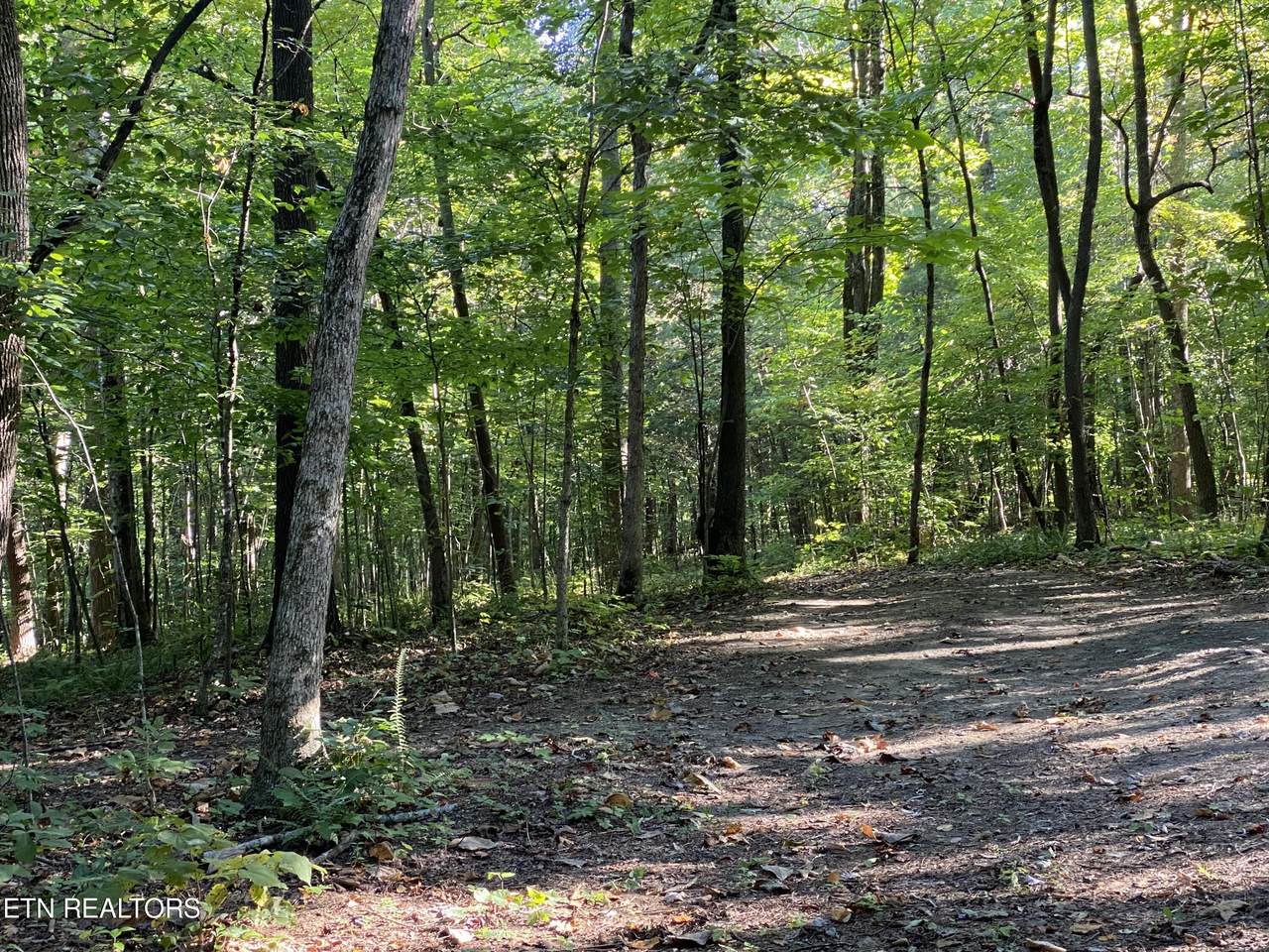 0 Conner Rd - Photo 1