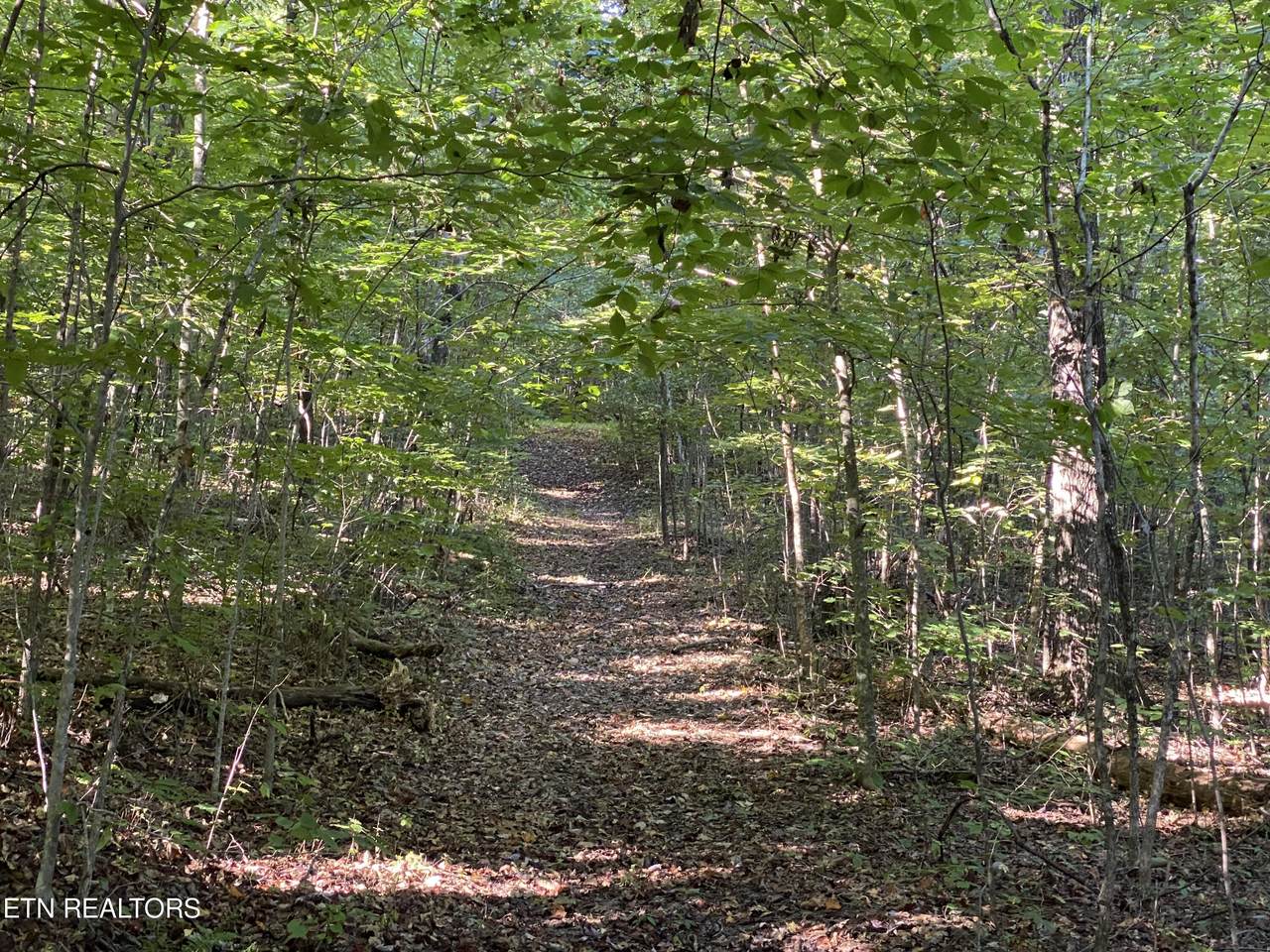 https://bt-photos.global.ssl.fastly.net/kaar/1280_boomver_1_1252282-2.jpg