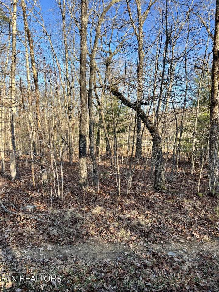 153 Manchester Rd - Photo 1