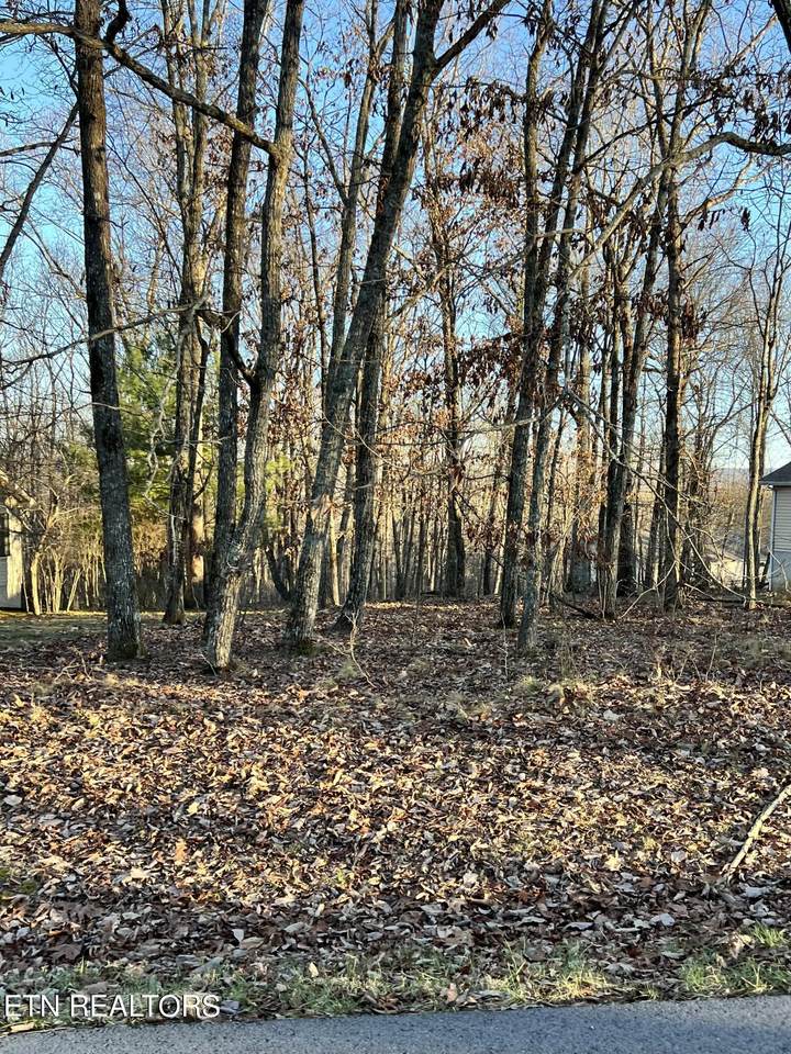 236 Amherst Lane - Photo 1