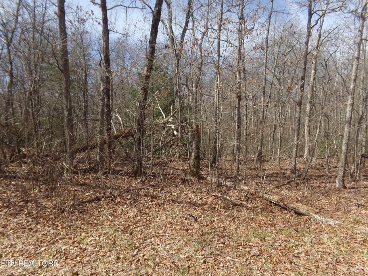 9 Broken Arrow Drive - Photo 1