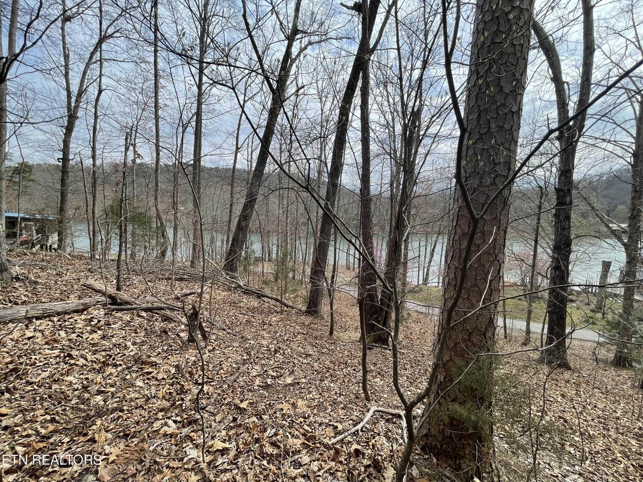 Lot119 Laurel Lake Circle - Photo 1