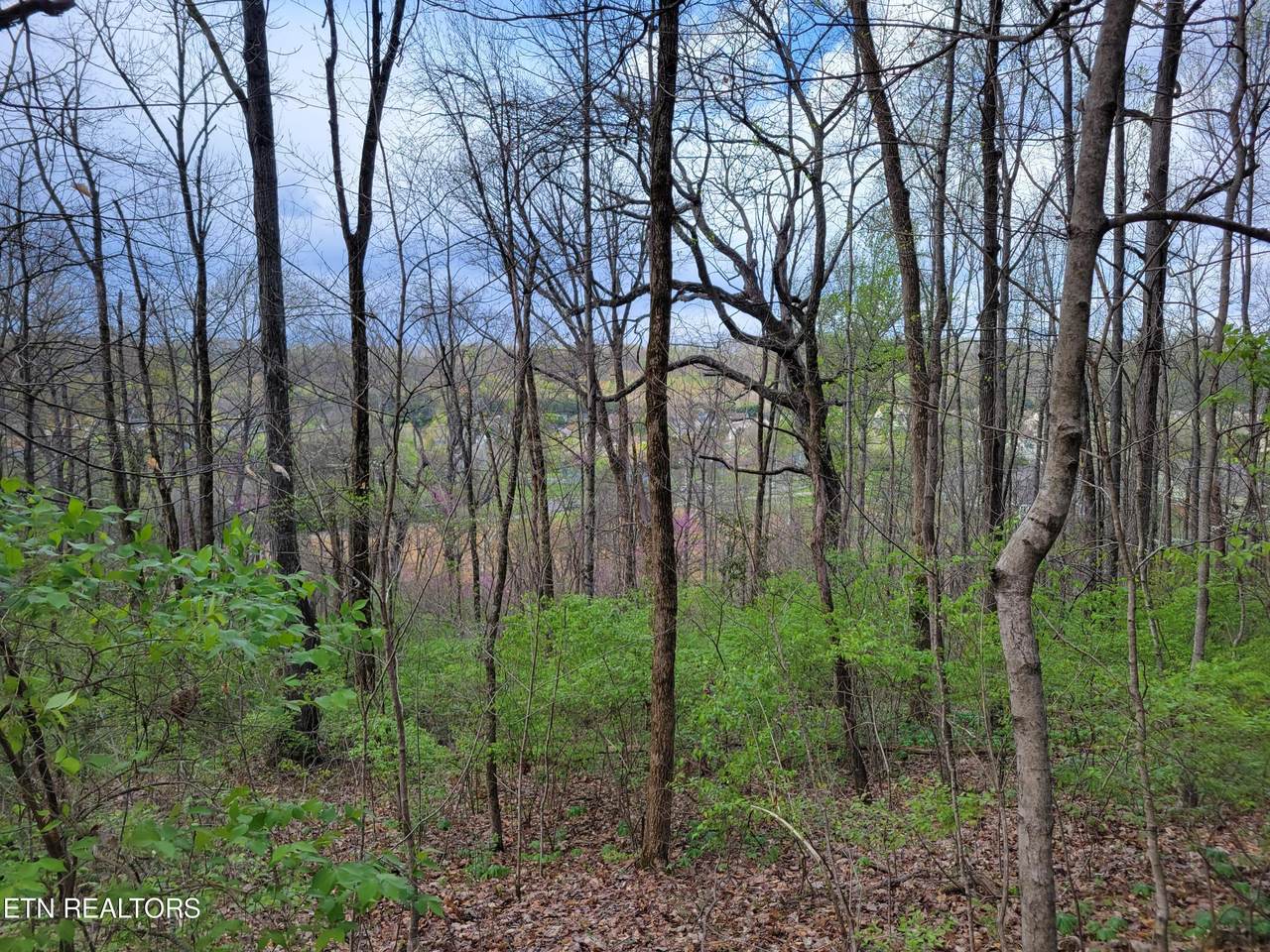 1127 Rifle Range Drive - Photo 1