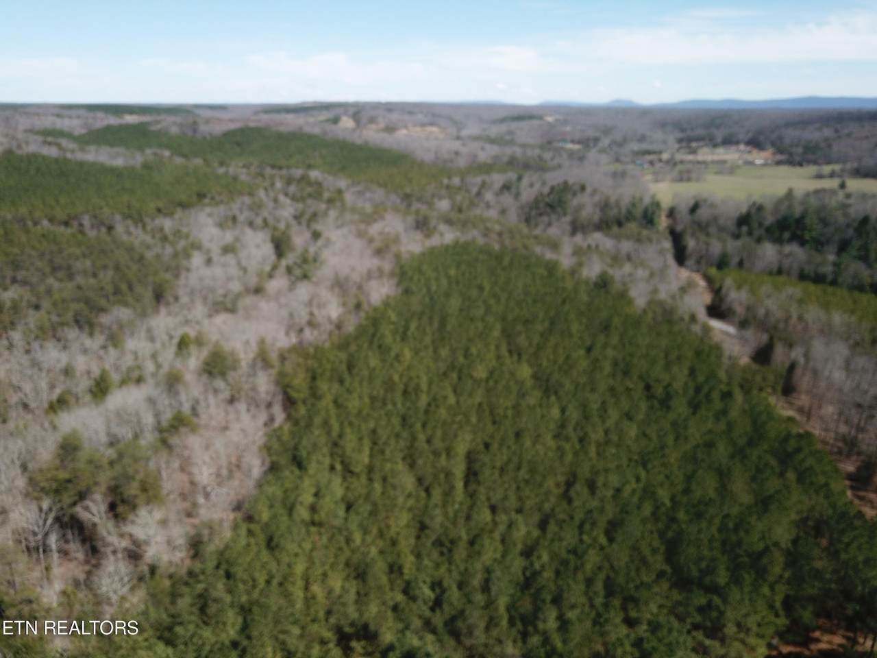 Flynns Cove Rd - Photo 1
