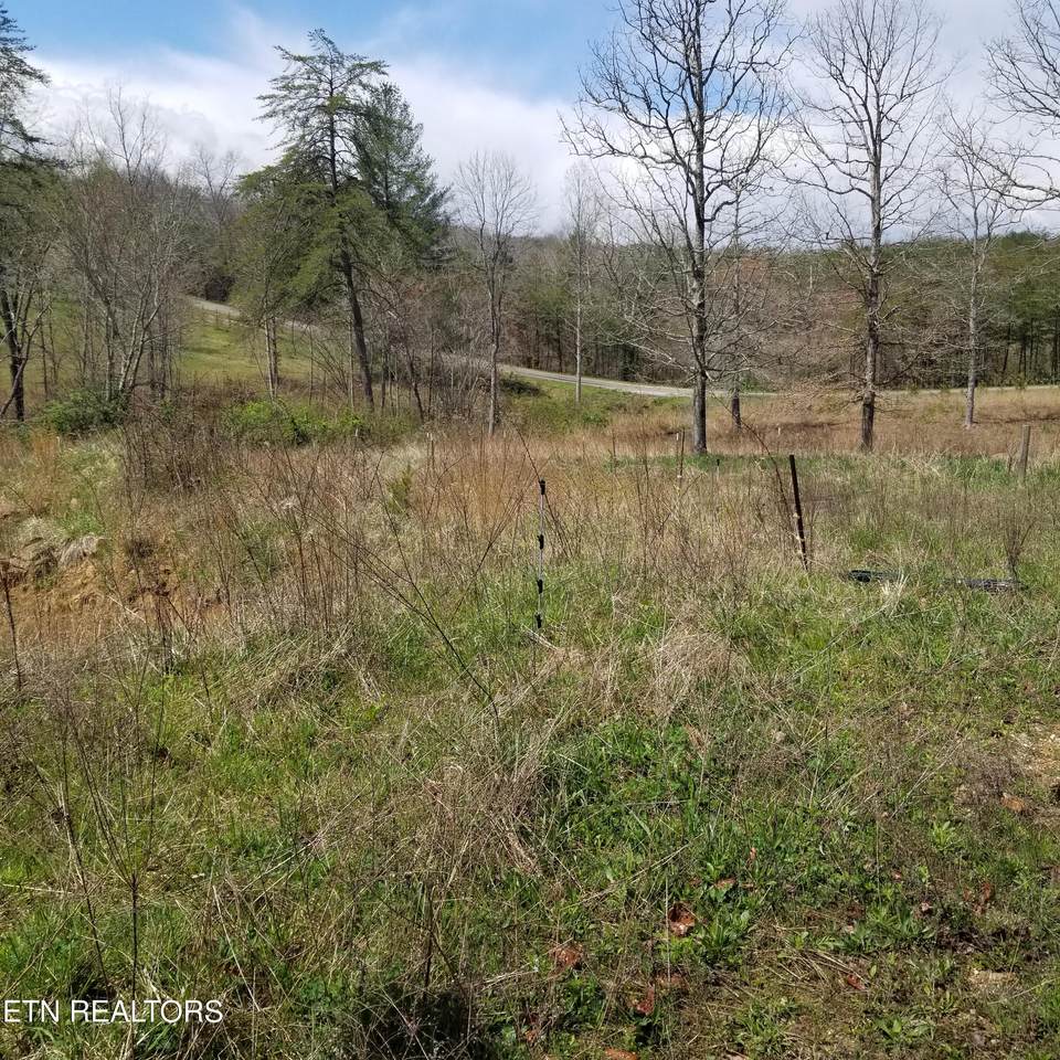 230 Abigail Trail - Photo 1