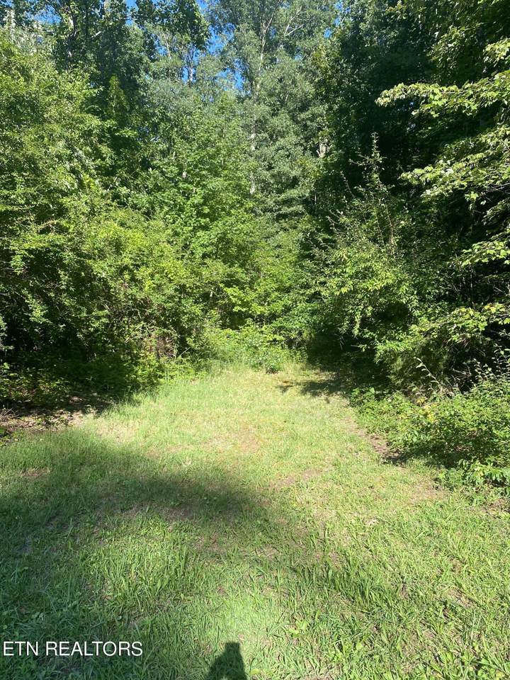 Lot #1 Whaley Lane - Photo 1