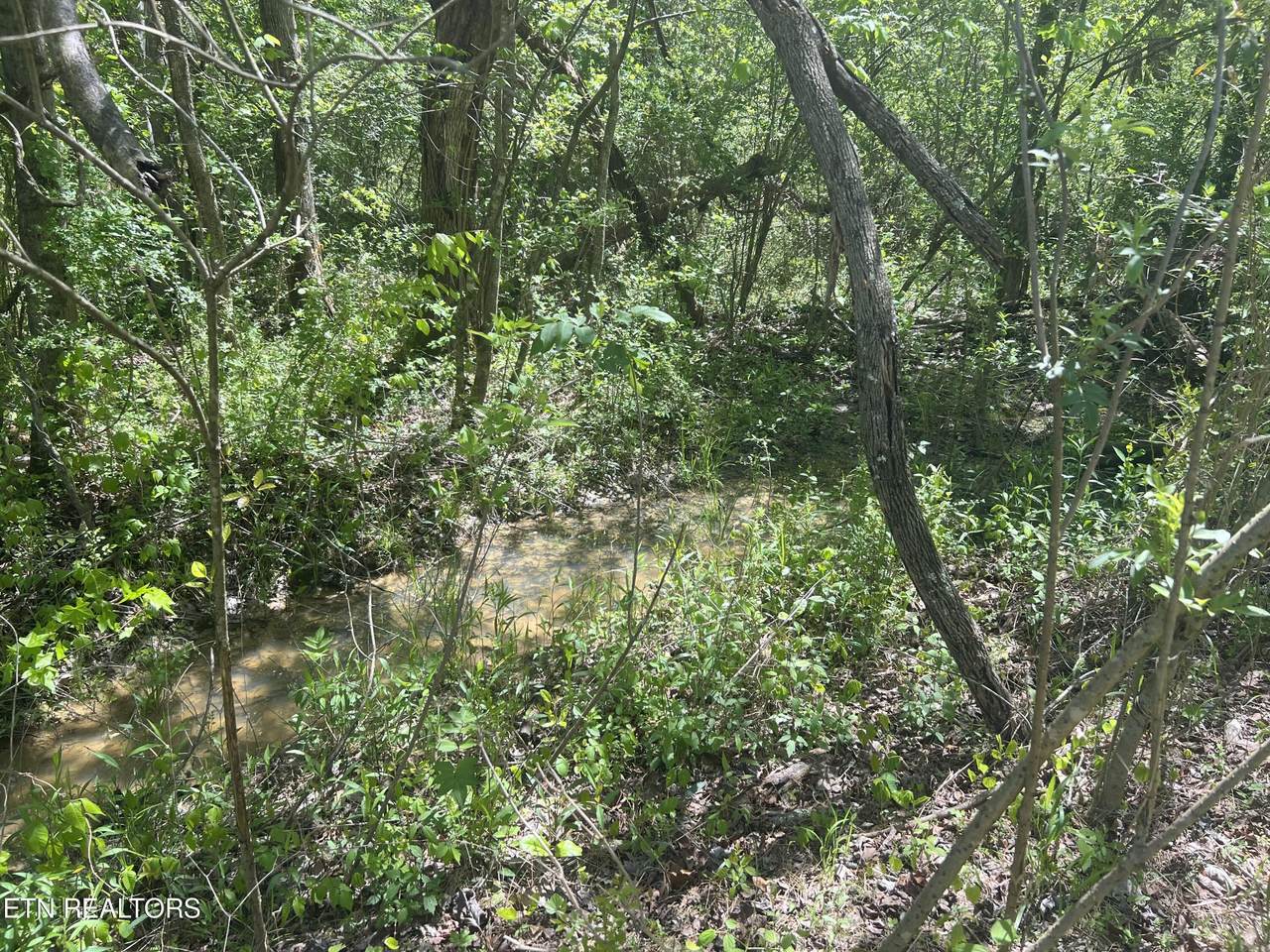  Dunn Rd - Photo 1