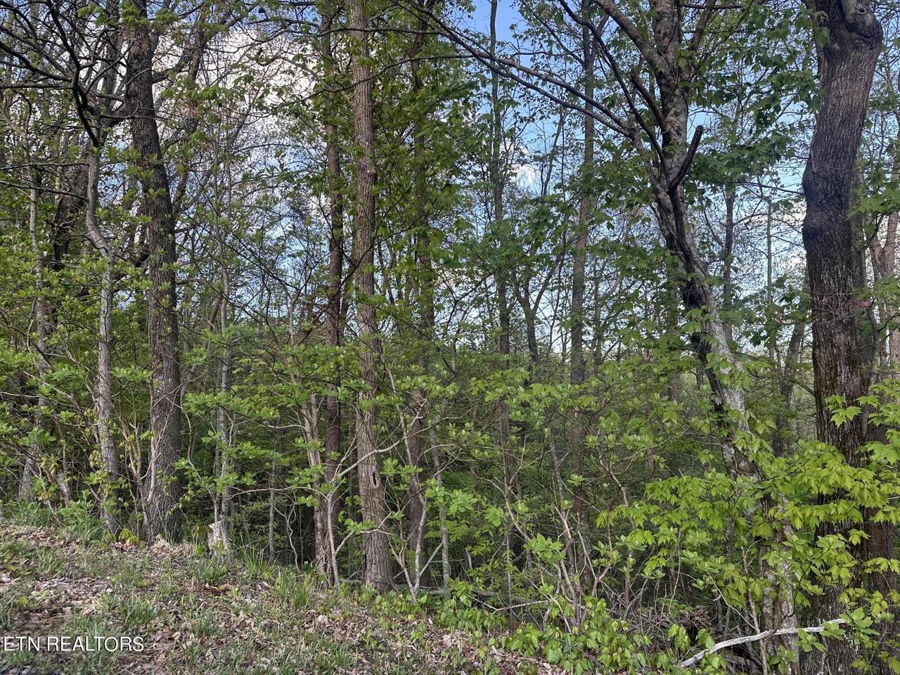 https://bt-photos.global.ssl.fastly.net/kaar/1280_boomver_1_1260050-2.jpg