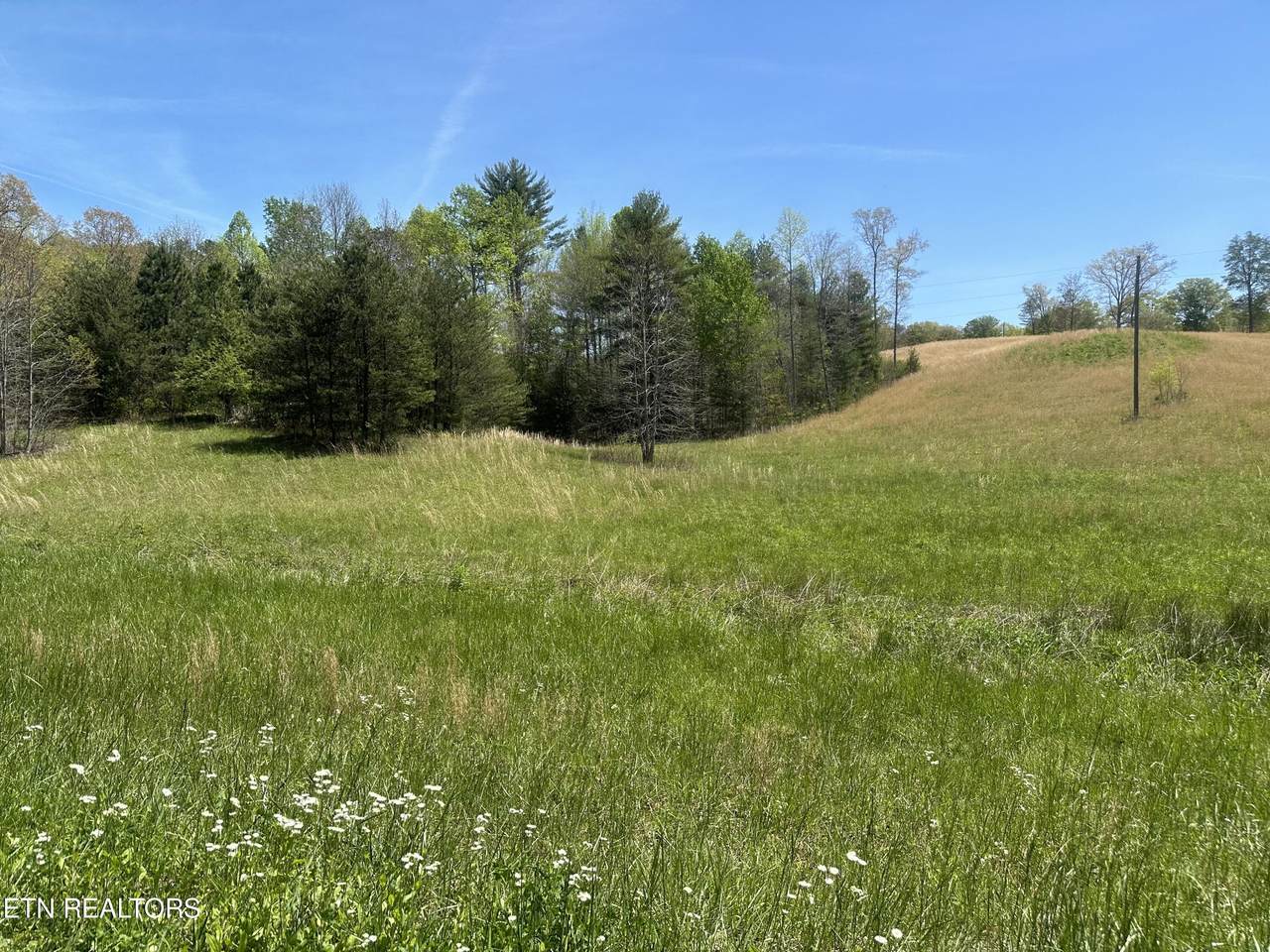 000 Epperson Rd - Photo 1