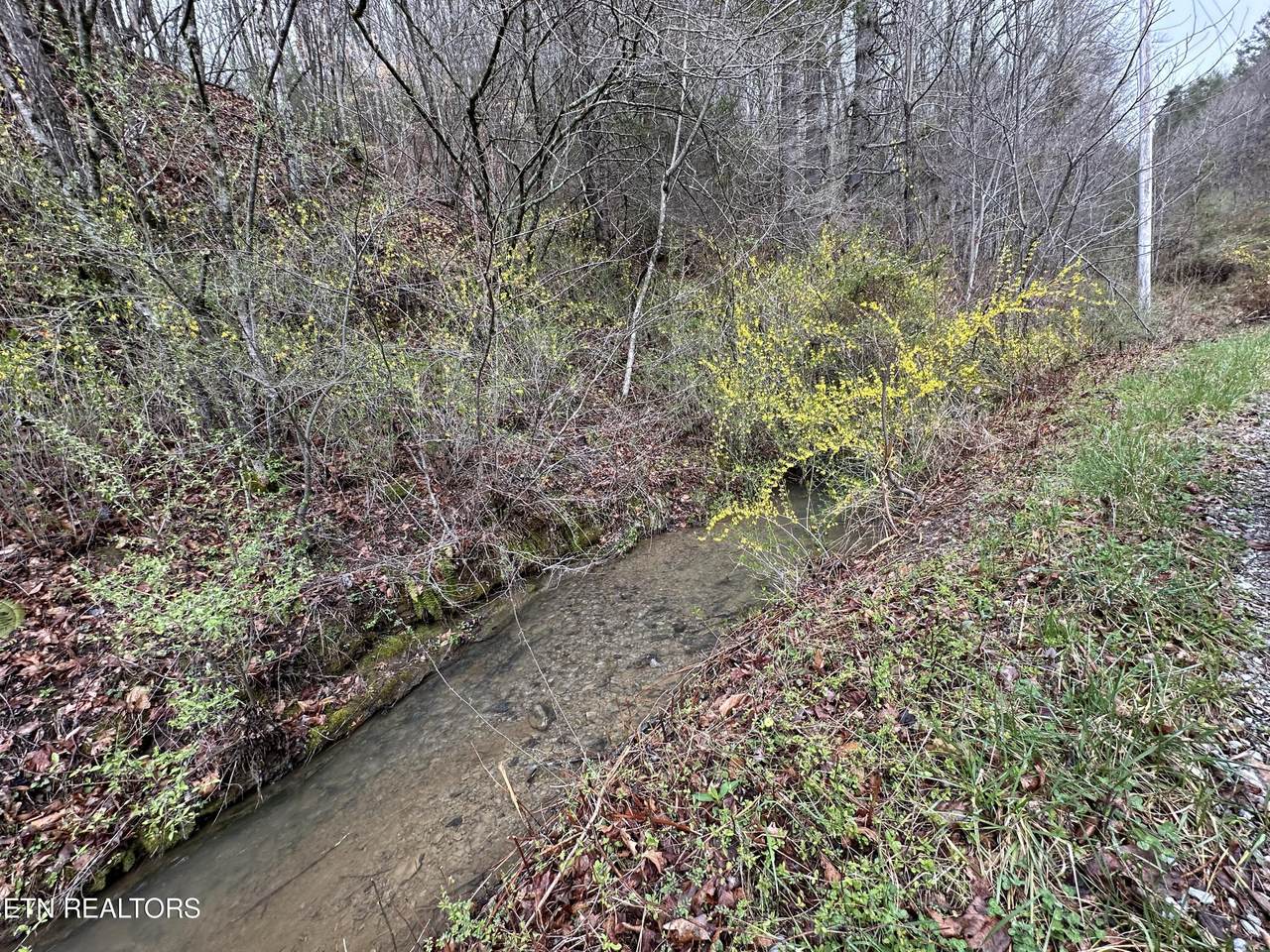 TBD Rock Lick Rd - Photo 1