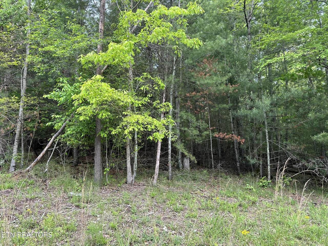 114 Forest Hill Drive - Photo 1
