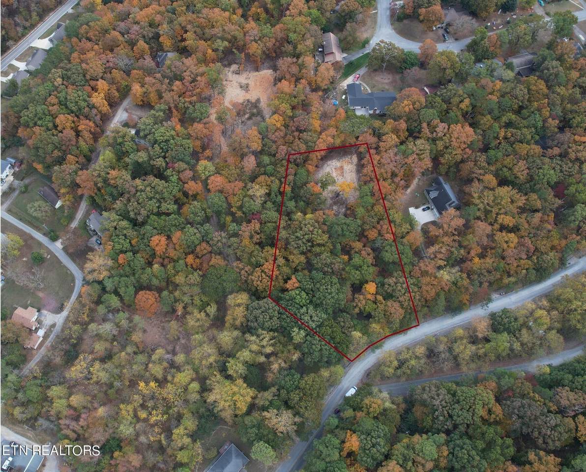 1082 Hurricane Creek Rd - Photo 1