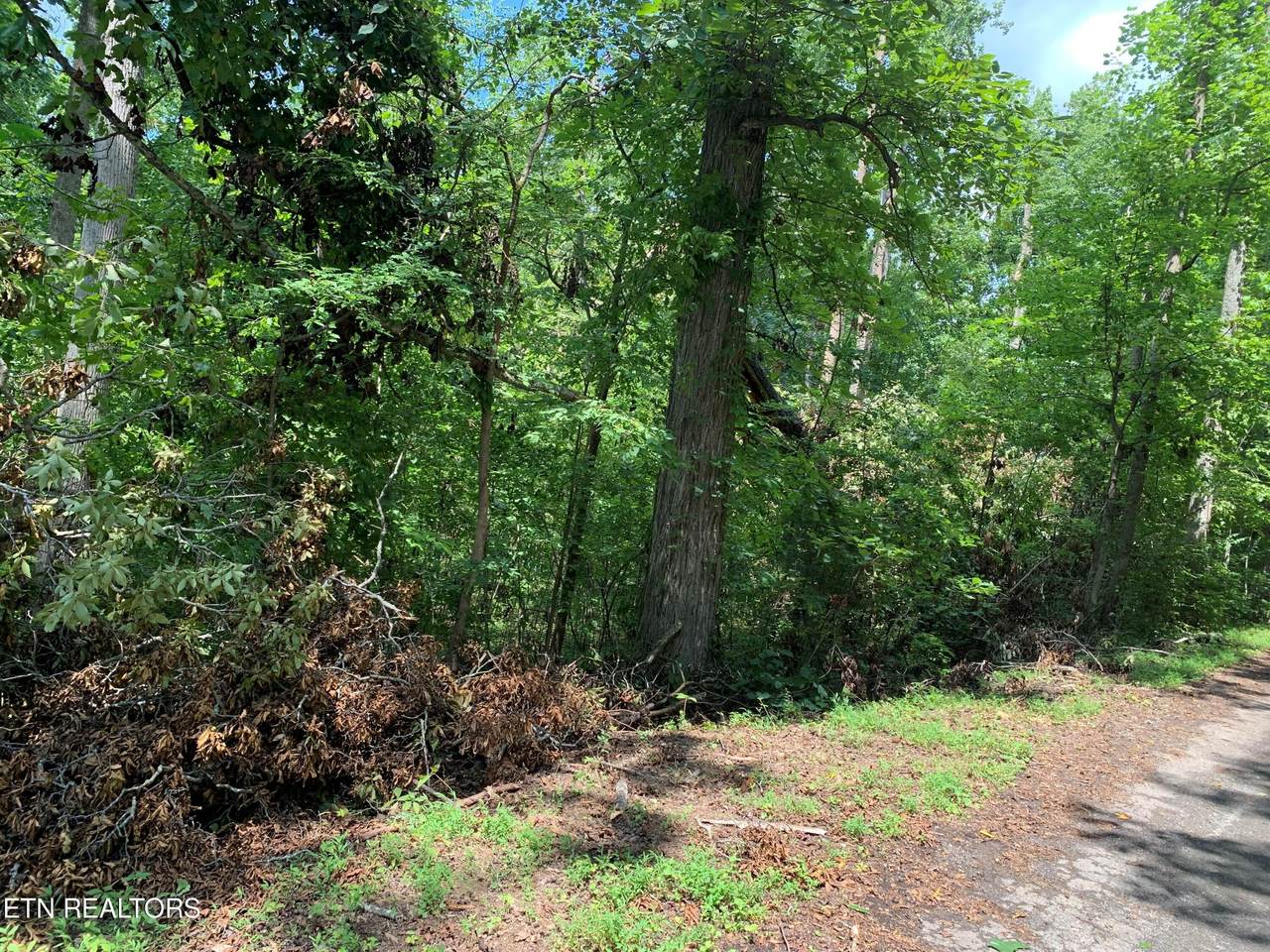 Walker Ave - Photo 1