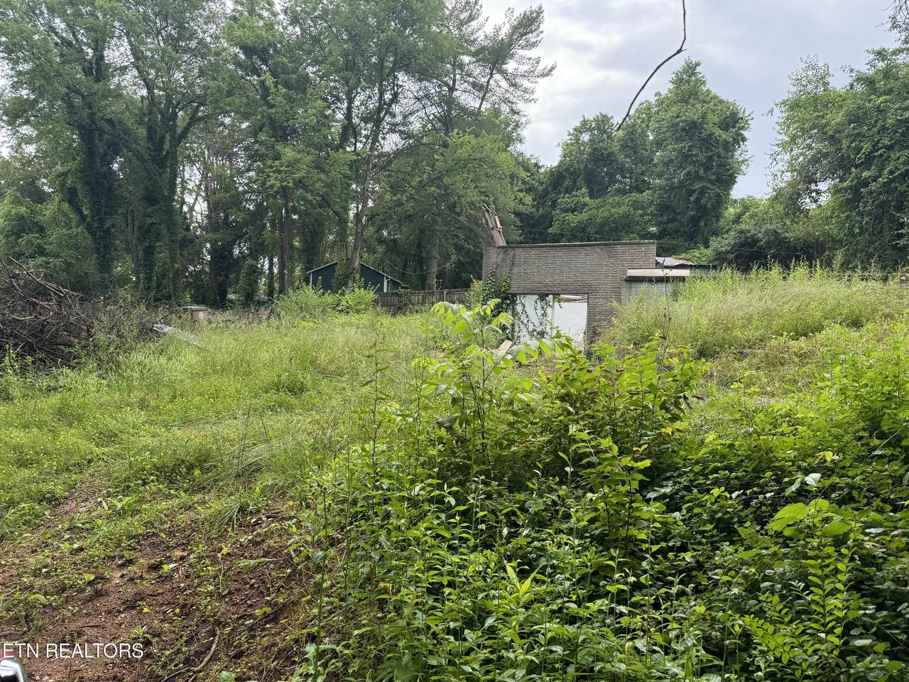 1929 Kim Watt Drive - Photo 1