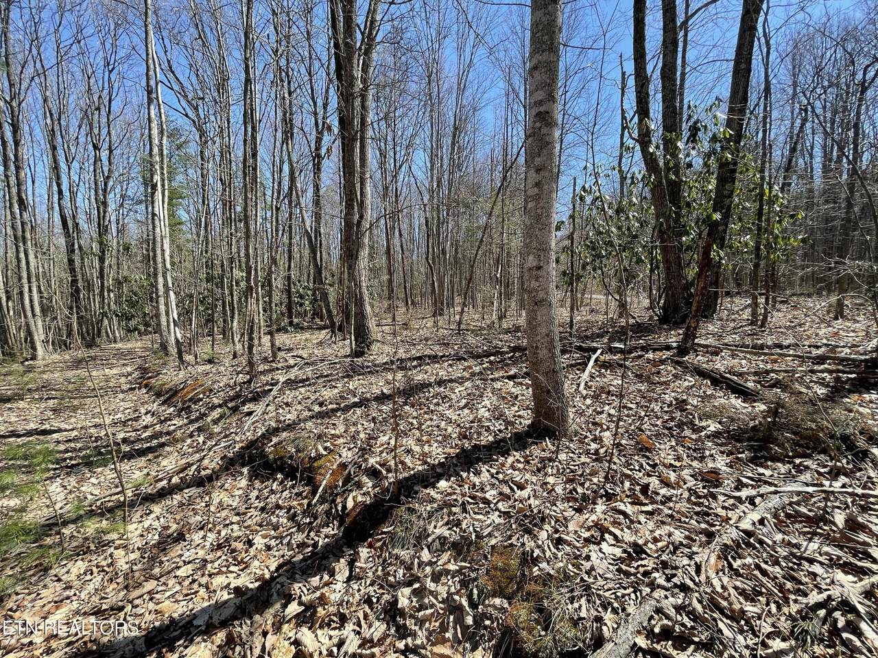9.62 Acres Lighten Rd - Photo 1