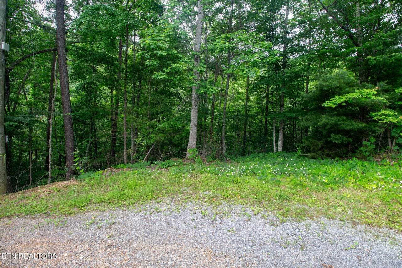 Lot 9 Pine Crest Lane - Photo 1