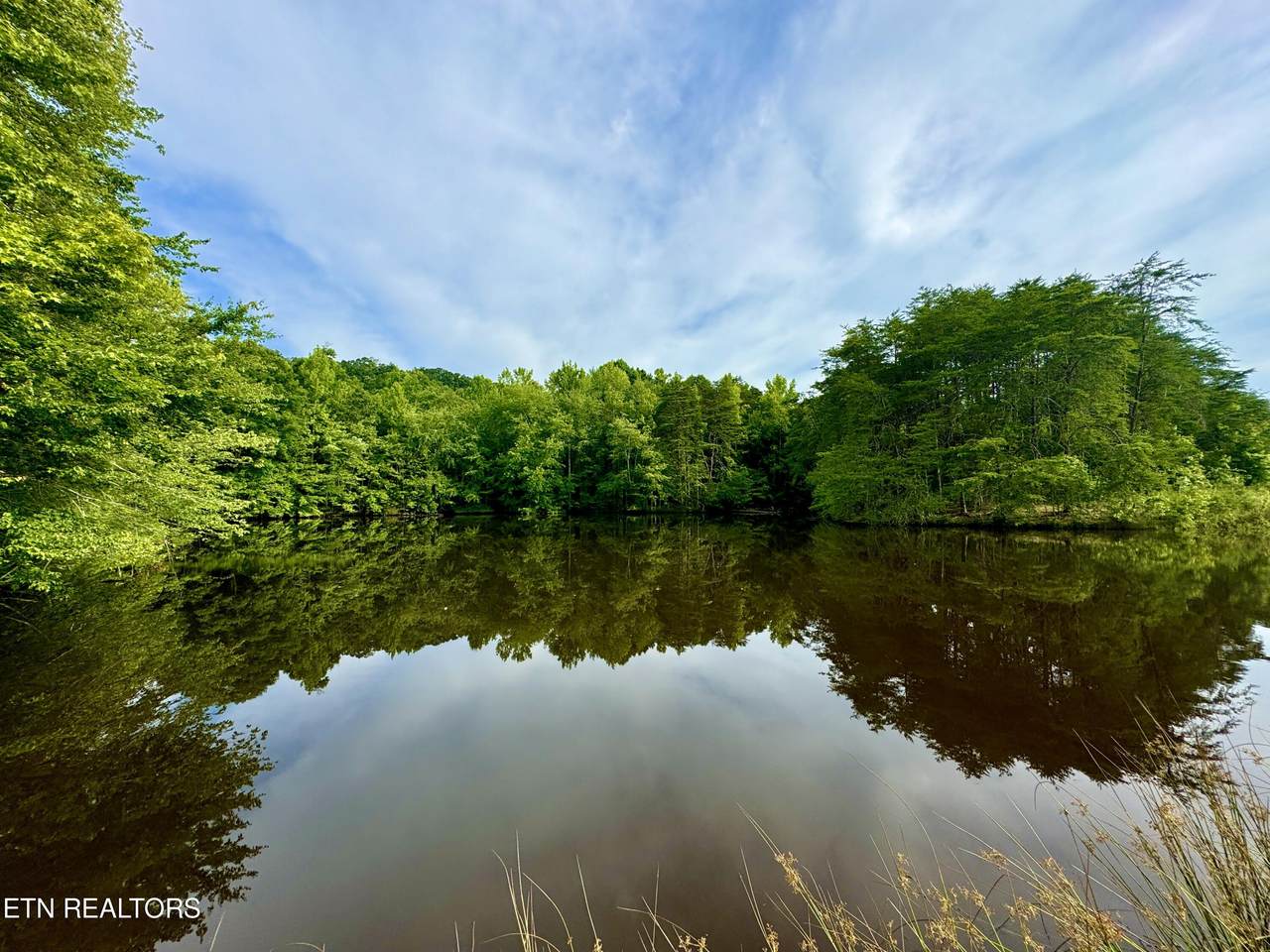 1248 Dry Fork Valley Rd - Photo 1