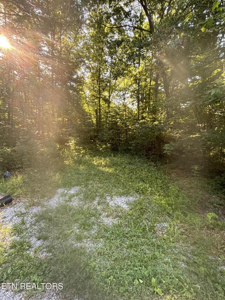 6018 Loch Loosa Drive - Photo 1